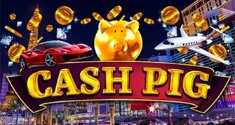 Cash-Pig